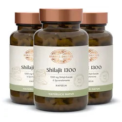 Shilajit 1300 Kapseln