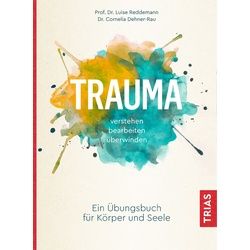 Trauma verstehen, bearbeiten, überwinden Buch 1 St