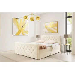 AN FURNITURE STORE Boxbett MALAGA Bett mit Bettkasten, Matratze, Topper & gepolstertem Kopfteil (inkl. Topper & Matratze), Boxspringbett mit Stauraum beige