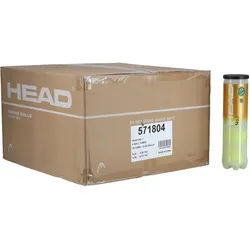 Head Tennisbälle No. 1 DTB Dose 36x4er im Karton