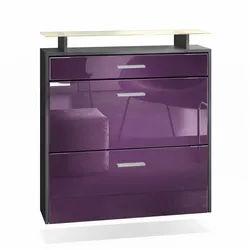 Vladon Schuhschrank Malea (hängender Schuhkipper für 16 Paar Schuhe, mit 2 Klappen und 1 Schublade und Glasablage) Anthrazit matt/Brombeer glänzend, mit Beleuchtung RGB (89x96x23 cm) lila