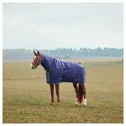 WeatherBeeta Pferde-Thermodecke Weatherbeeta Comfitec Tyro Turnout Combo Neck 220g 155 cm / 6'9 cm