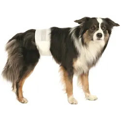 TRIXIE Windeln für erwachsene Hunde 12 Stück L-XL 60-80 cm