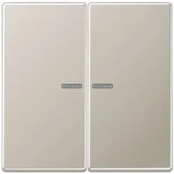 JUNG HOME Taster 2fach, Edelstahl 1.4303 X4 CrNi 18-12, Serie LS, Edelstahl