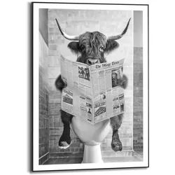 Bild HIGLANDER TOILET (BHT 50x70x1.60 cm) - bunt - BHT 50x70x1.60 cm