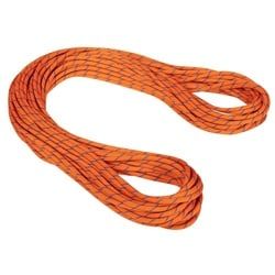 Mammut Alpine Sender Dry Rope 9.0 - Kletterseil / Halbseil / Zwillingsseil - sunrise / ice - 40m