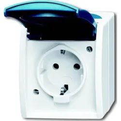 Busch-Jaeger Schuko-Steckdose grau/blgn Aufputz, mit Klappdeckel 20 EW-53