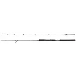 Abu Garcia Spinnrute Abu Garcia BEAST Pike 862XXH 40-140g Spinning