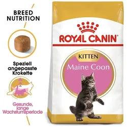 ROYAL CANIN Maine Coon Kitten 10kg + Überraschung für die Katze