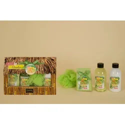 Geschenkbox Fruit Cocktail - Kiwi Pfirsich Duft