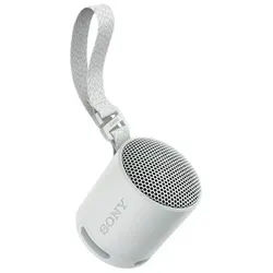 SRS-XB100 - portable speaker - Grey