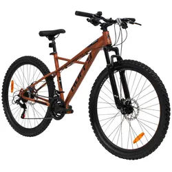 Xxxl Mountainbike , Hellbraun , Metall , 68x101x177 cm , unisex , Freizeit & Co, Sport & Fitness, Fahrräder, Mountainbikes