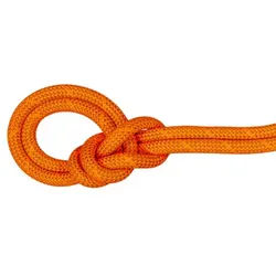 Mammut 9.8 Crag Dry Rope - Kletterseil - vibrant orange-boa - 50m