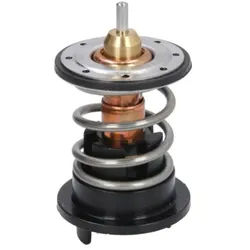 Thermostat, Kühlmittel COLORSTAT BY VERNET TH7272.89