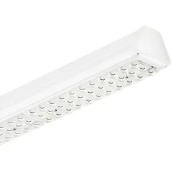 Philips Lighting LED-Geräteträger 4MX850 491 62720899