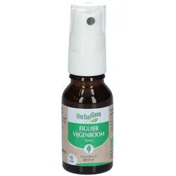 Herbalgem - Feigenbaum Bio - Nahrungsergänzungsmittel - Frischer Knospen Extrakt - Für die Verdauung - 15 ml
