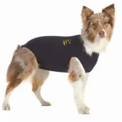 Medical Pet Shirt MPS Hund OP Body XXL