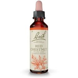 Original Bach®-Blüten Red Chestnut Nr. 25