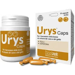 Urys-Kappen