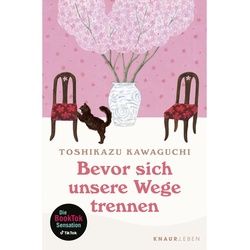 Bevor Sich Unsere Wege Trennen / Café Reihe Bd.2 - Toshikazu Kawaguchi, Taschenbuch