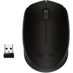 Logitech M171 - Maus - rechts- und linkshändig - kabellos - 2.4 GHz - kabelloser Empfänger (USB)