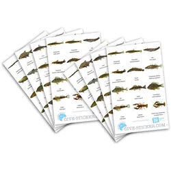 Dive Sticker Schweiz