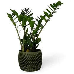 Shapes - Decorations Blumentopf The Plant Pot - Blumentopf mit integriertem Unterteller (Einzelmodell, 1 x Blumentopf mit integriertem Untersetzer), Spiraloptik grün Ø 18 cm