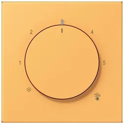 Jung Abdeckung für Thermostat LC 1749 BF 254 LC1749BF254
