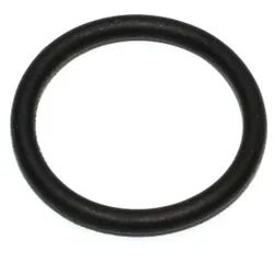 Dichtring ELRING 163.480