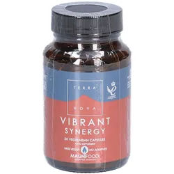 Terranova Belebende Synergie