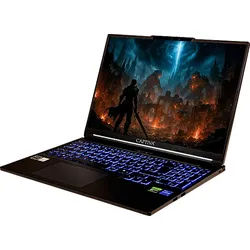 CAPTIVA Entry Gaming I99-416GE - 16,0 Zoll Intel® CoreTM i7 i7-14650HX 32 GB 1 TB GeForce RTXTM 5060 Windows 11 Home