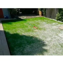easygreen Schattenrasen »Easygreen Halbschattenrasen 24 m2«, 8