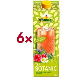 PFANNER Eisteegetränk »Botanic - Zitrone & Himbeere« 6 Stück je 2 L gelb