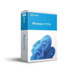 Windows 11 Professional | Blitzversand | FR