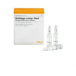 Solidago comp. Heel Ampullen 10 St.