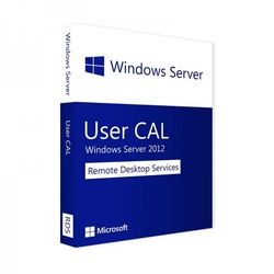 Microsoft Remote Desktop Services 2012 | 1 User CAL | Blitzversand