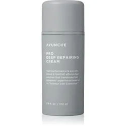 AYUNCHE Pro Deep Repairing Cream tiefenwirksame regenerierende Creme für beschädigtes Haar 100 ml