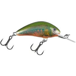 Salmo Kunstköder Salmo Hornet Wobbler 4cm schwimmend, (1-St)