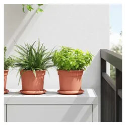 vidaXL Blumentopfuntersetzer, Runde Blumenplatte 24 pcs Ziegelrot Ø 14 x 2 cm Kunststoff rot