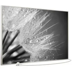 STEINFELD Heizsysteme Infrarotheizung Bild 900W, 120x74cm, Made in Germany, 7J Garantie, mit Thermostat, viele Motive silberfarben
