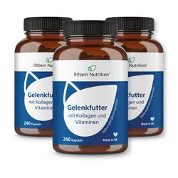 R(h)ein Nutrition Gelenkfutter mit Kollagen und Vitaminen Kapseln 3x240 St