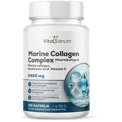 VitaSanum® - Marine Collagen + Hyaluronsäure Vitamin C Kapseln 120 St