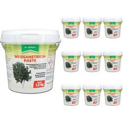 Silberkraft Effektiver Schutz für Bäume & Sträucher: Weißanstrich-Paste gegen Frostschäden 10x1,5 kg