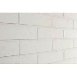 ELABRICK Flachverblender »Dover«, 240 x 71 mm, weiß, 1m2 - weiss