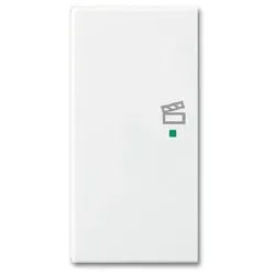 Busch-Jaeger 6233-21-914 Wippe 2-fach links mit Symbol Szene