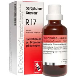 Scrophulae Gastreu R 17 Tropfen zum Einnehmen
