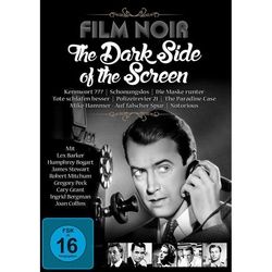Film Noir - The Dark Side Of The Screen (DVD)