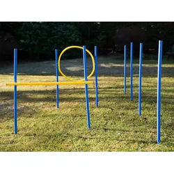 Procyon Agility-Slalom Hundetraining, Hundeparcour, 10 teilig, Slalom-Stangen, Hürde und Ring blau|gelb