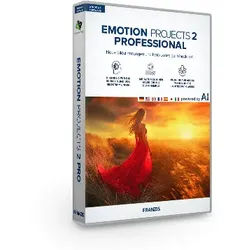 EMOTION projects 2 professional