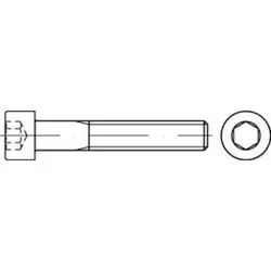 ISO 4762 Zylinderschrauben A 2 M 2 x 5 A 2 S